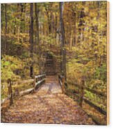 Autumn Forest Wood Print