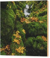 Autumn Glory At Emerald Falls In Columbia River Gorge In Oregon Usa Wood Print