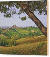 Autumn In Langhe, Vineyards And A Tree. Italy Wood Print