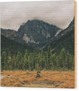 Autumn In The Canadian Rockies Landscape Wood Print