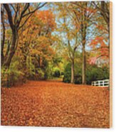 Autumn In The Country Wood Print