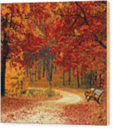 Autumn In The Park - Dwp1072821 Wood Print