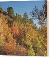 Autumn In Zion Wood Print