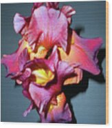 Autumn Iris 5 Wood Print