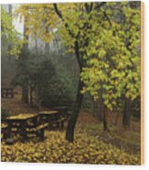 Autumn Landscape With Trees And Yellow Leaves On The Ground After Rain Wood Print