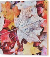 Autumn Leaves Abstract Wood Print