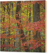 Autumn Leaves Ii Wood Print