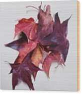 The Splendor Of Autumn Leaves Wood Print