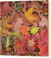 Autumn Leaves Underfoot Wood Print