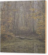 Autumn Morning 6 Wood Print