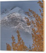 Autumn Mountain Light Wood Print