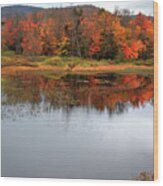 Autumn On Mason Lake Wood Print