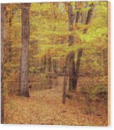 Autumn On The Trail Of Twelve Stones Wood Print
