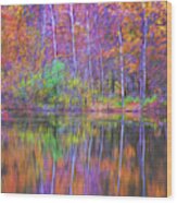 Autumn Reflection Ii Wood Print