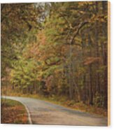 Autumn Road Wood Print