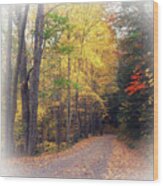 Autumn Road To Cataloochee Wood Print