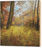Autumn Sunbeams Wood Print