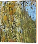 Autumn Symphony Breeze Wood Print