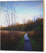 Autumn Trail Under The Blue Sky - Frank J Casella Wood Print