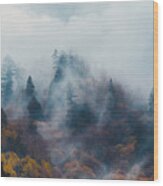 Autumn Trees In The Misty Forest Wood Print
