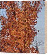 Autumns Grace Wood Print