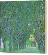 Avenue In The Park In Front Of Schloss Kammer Wood Print