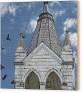 Avian Residents Of Augustana Swedish Lutheran Church - Eddy County Nd Wood Print