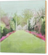 Azaleas And Cherry Blossoms Brooklyn Botanic Garden Wood Print