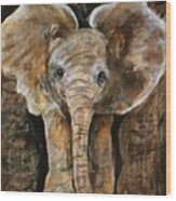 Baby Elephant Wood Print