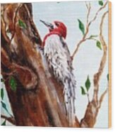 Backyard Woodpecker Wood Print