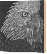 Bald Eagle White On Black Wood Print