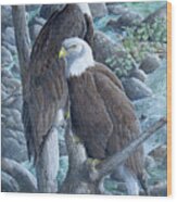 Bald Eagles Wood Print