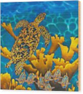 Balembouche Sea Turtle Wood Print
