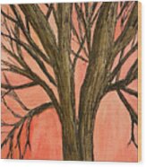 Bare Tree Sunset Wood Print