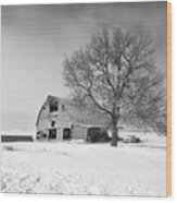 Winter On The Farm Bw Wood Print