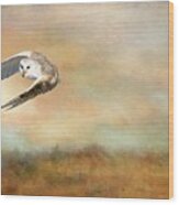 Barn Owl Flying Wood Print