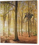 Barn Owl Flying In Autumn Woodland Wood Print
