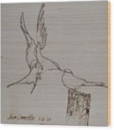 Barn Swallows - Feeding The Fledgling Wood Print