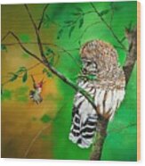 Barred Owl And Anna's Hummingbird Wood Print