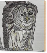 Barred Owl Wood Print