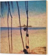 Beach And Island View Near Gizo Solomon Islands Wood Print