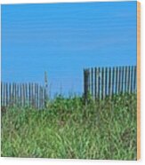 Beach Fence Wood Print