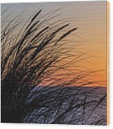 Beach Grass Sunset Panorama Wood Print