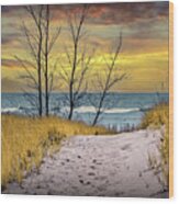 Beach On Lake Michigan At Sunset By Holland Michigan With Dune G Wood Print