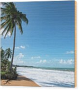 Beach Paradise, Pinones, Puerto Rico Wood Print
