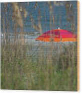 Beach Umbrella Wood Print