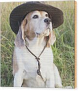 Beagle In Indiana Jones Hat Wood Print