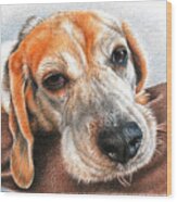 Beagle Love Wood Print