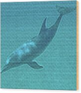 Beautiful Bottlenose Dolphin Near Bimini Impressionism Wood Print