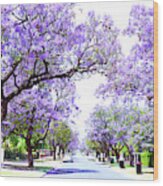 Beautiful Purple Flower Jacaranda Tree Lined Street In Full Bloom. Wood Print